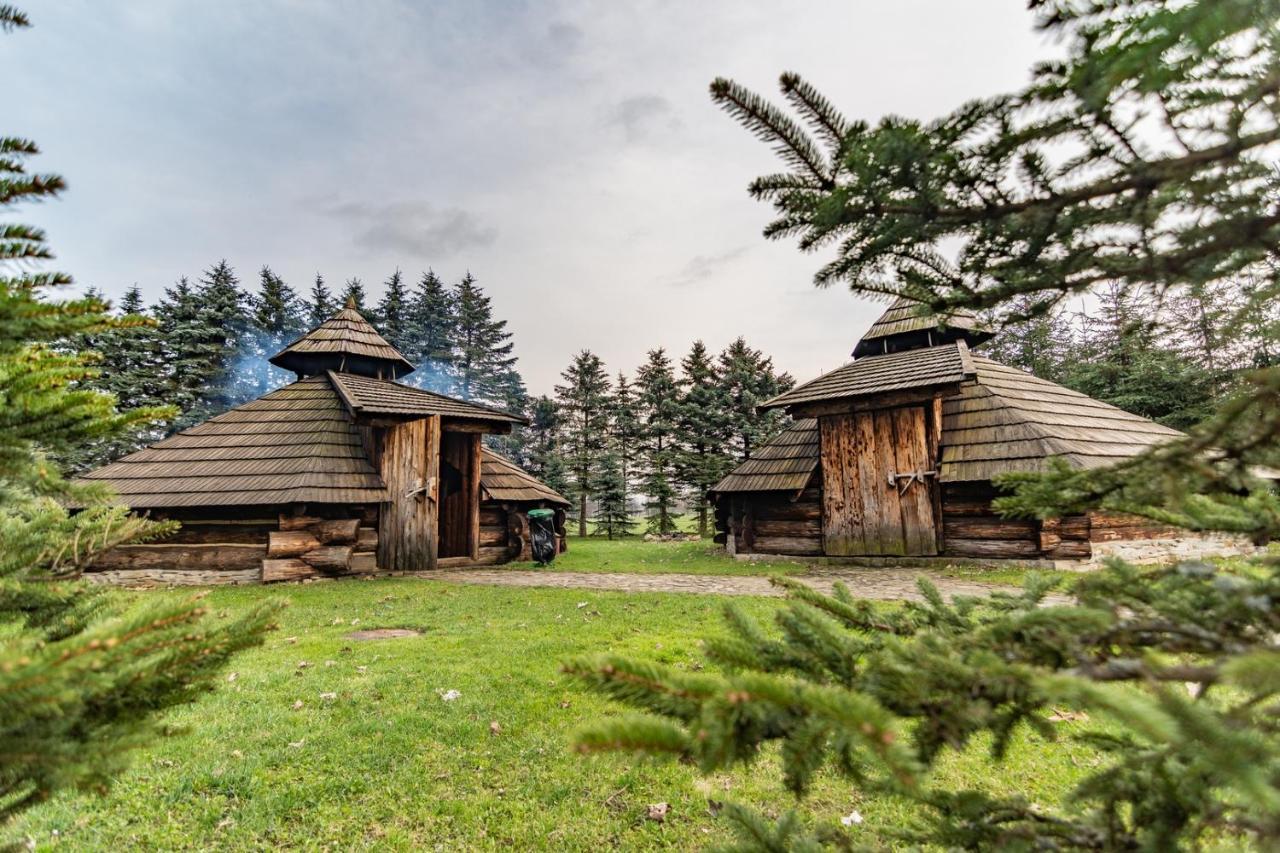 Dom Sportowca Blonie - Mosir Otel Sanok Dış mekan fotoğraf